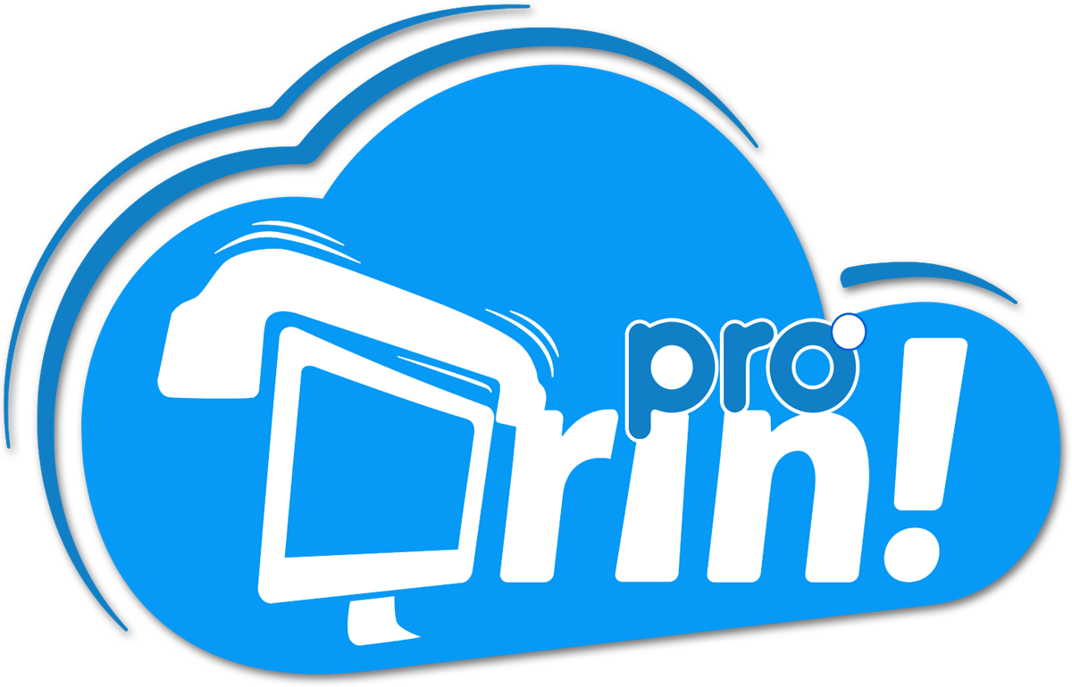 DRIN PRO Cloud — Logo ufficiale